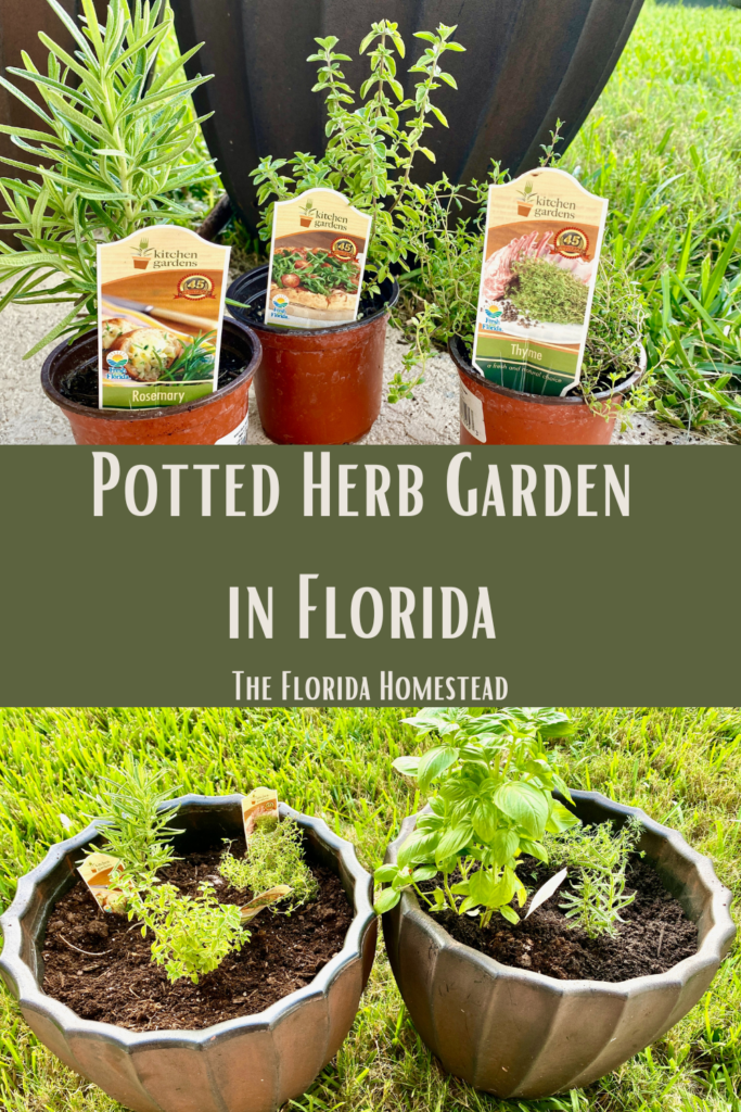 Potter Herb Garden in Florida Pinterest Photo